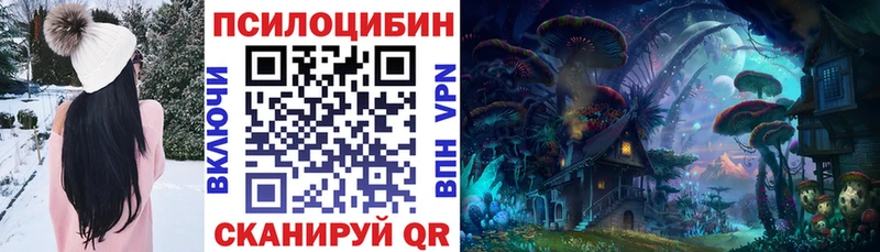 darknet Telegram  кракен ссылки  Канск  Галлюциногенные грибы Magic Shrooms 